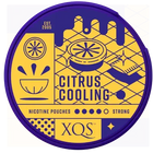 XQS CITRUS STRONG
