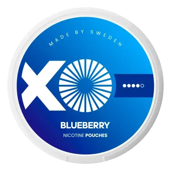 XO BLUEBERRY