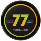 77 TROPICAL MINT MEDIUM